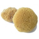 Tichomorská umývacia huba Caribbean Sun 11-12 cm so šnúrkou (SLY352P)